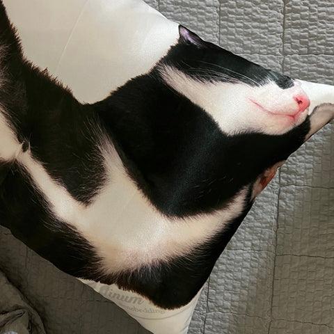 46MONTH sleep cat pillow cover - SOMIBEYA