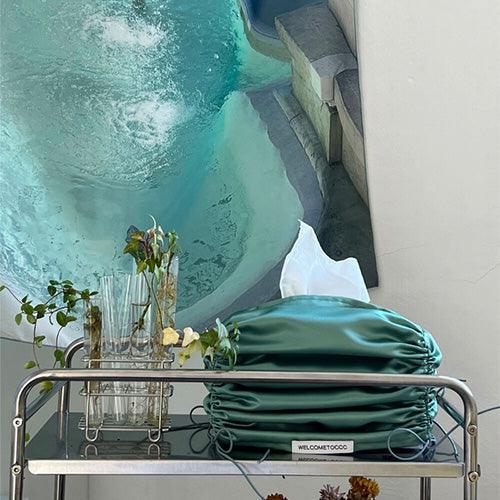 WELCOMETOCCC_CURTAIN CALL TITTI. MINT ティッシュケース - somibeya
