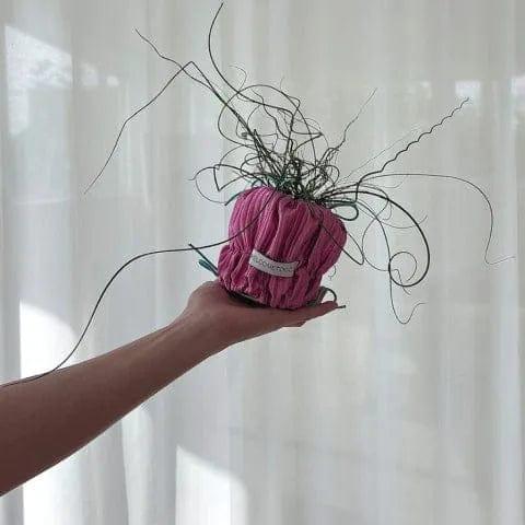 海外 POUPOUPOT Pink 2Size