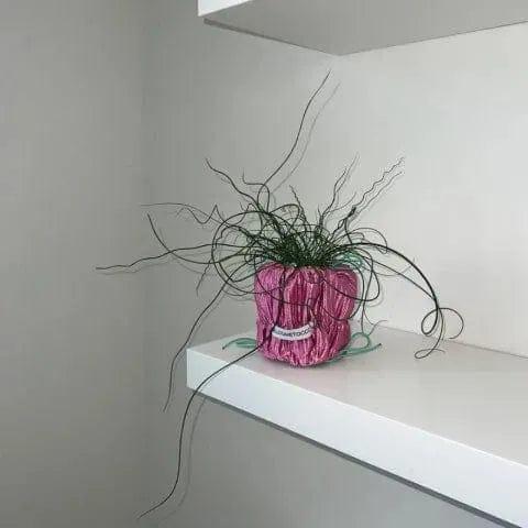 海外 POUPOUPOT Pink 2Size
