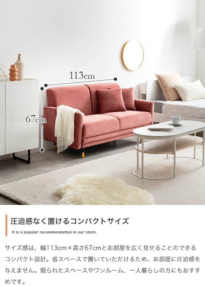 Ami 2人掛けコンパクトベロアソファ 