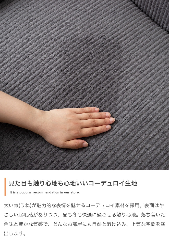 2人掛け圧縮ソファ 単品