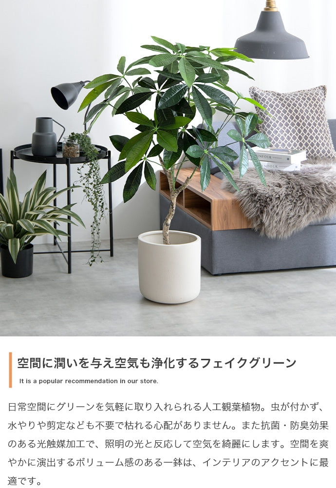 Nature 光触媒人工観葉植物 パキラ 高さ90cm