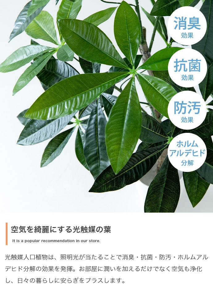 Nature 光触媒人工観葉植物 パキラ 高さ90cm