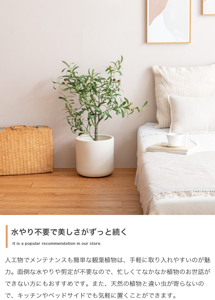 Nature 光触媒人工観葉植物 パキラ 高さ90cm