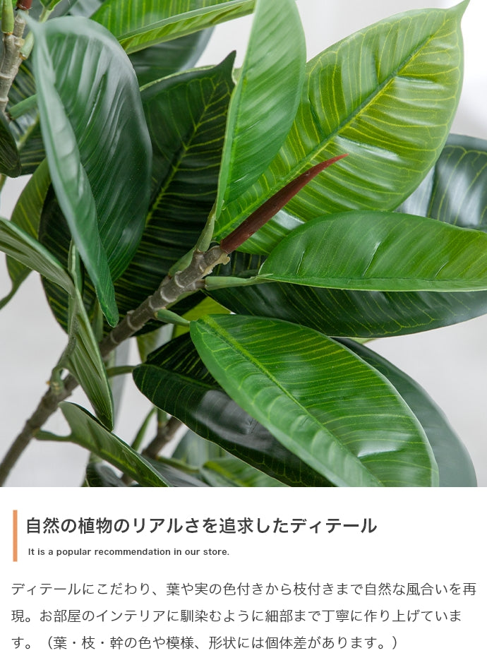 Nature 光触媒人工観葉植物 パキラ 高さ90cm