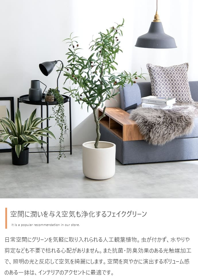 Nature 光触媒人工観葉植物 オリーブ 高さ85cm
