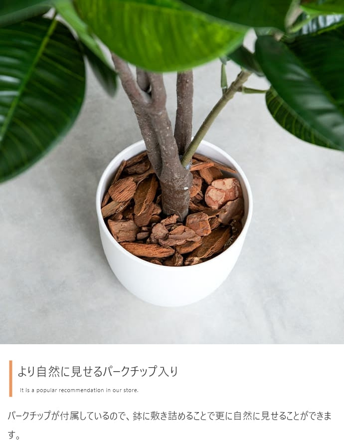 Nature 光触媒人工観葉植物 オリーブ 高さ85cm