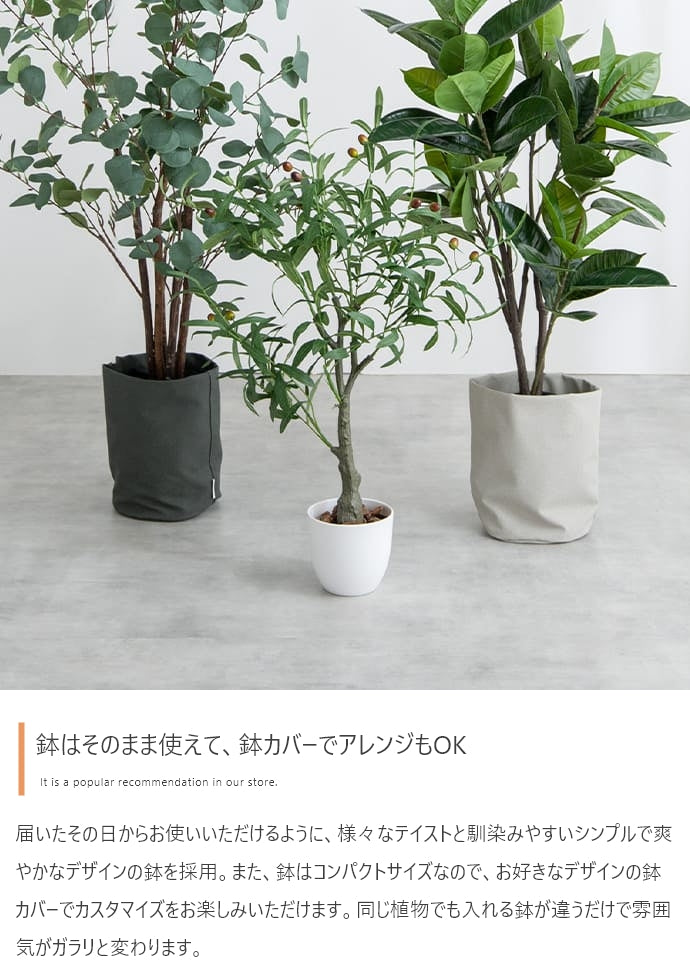 Nature 光触媒人工観葉植物 オリーブ 高さ85cm