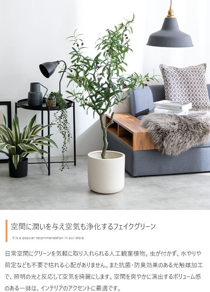 Nature 光触媒人工観葉植物 オリーブ 高さ125cm