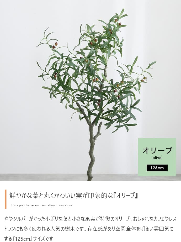 Nature 光触媒人工観葉植物 オリーブ 高さ125cm
