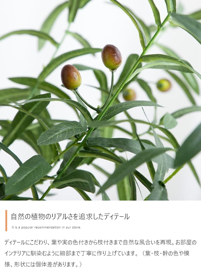 Nature 光触媒人工観葉植物 オリーブ 高さ125cm