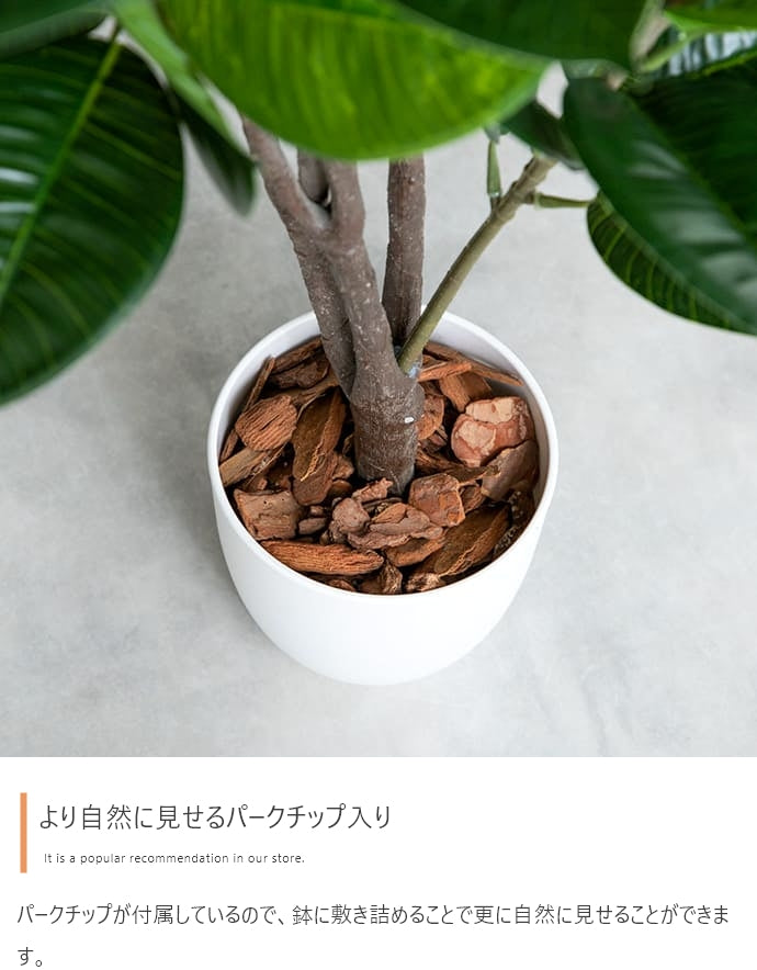 Nature 光触媒人工観葉植物 オリーブ 高さ125cm