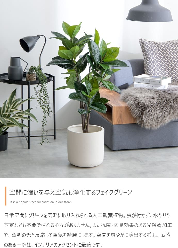 Nature 光触媒人工観葉植物 ゴムの木 高さ95cm