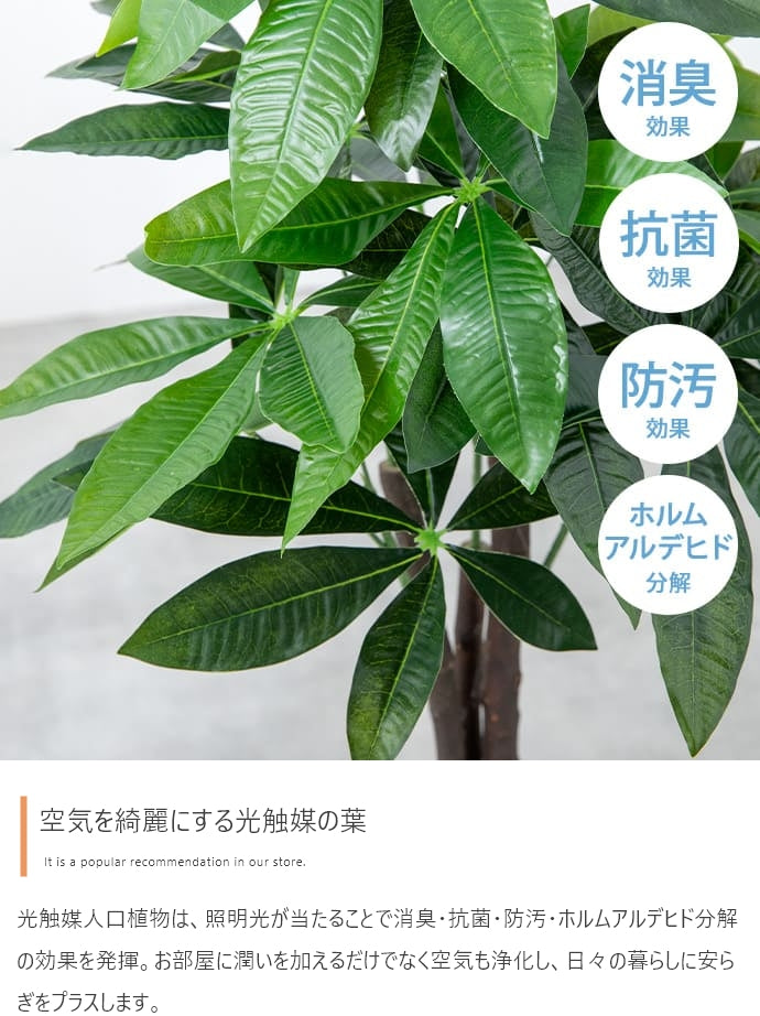 Nature 光触媒人工観葉植物 ゴムの木 高さ95cm