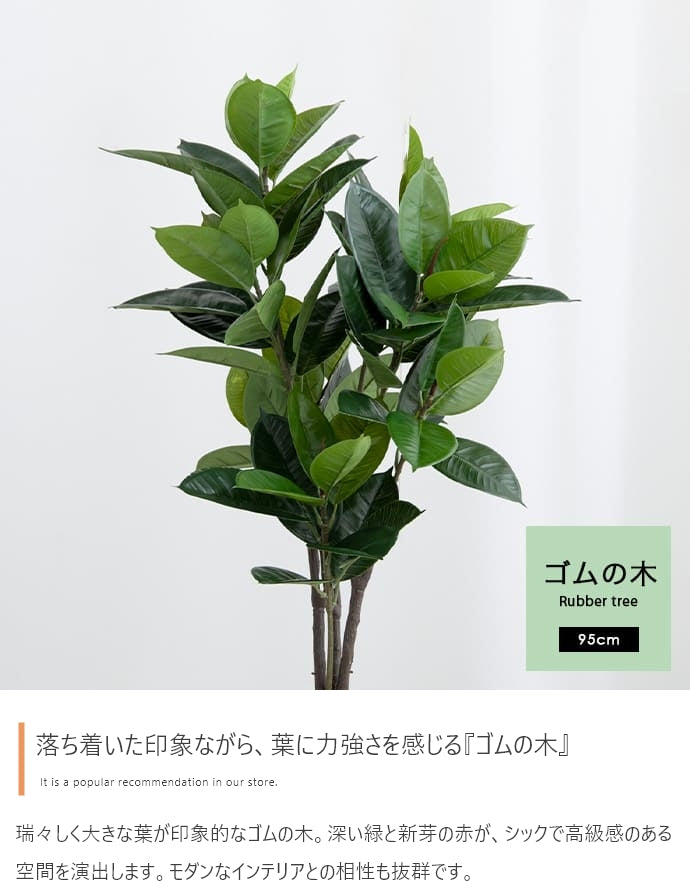 Nature 光触媒人工観葉植物 ゴムの木 高さ95cm