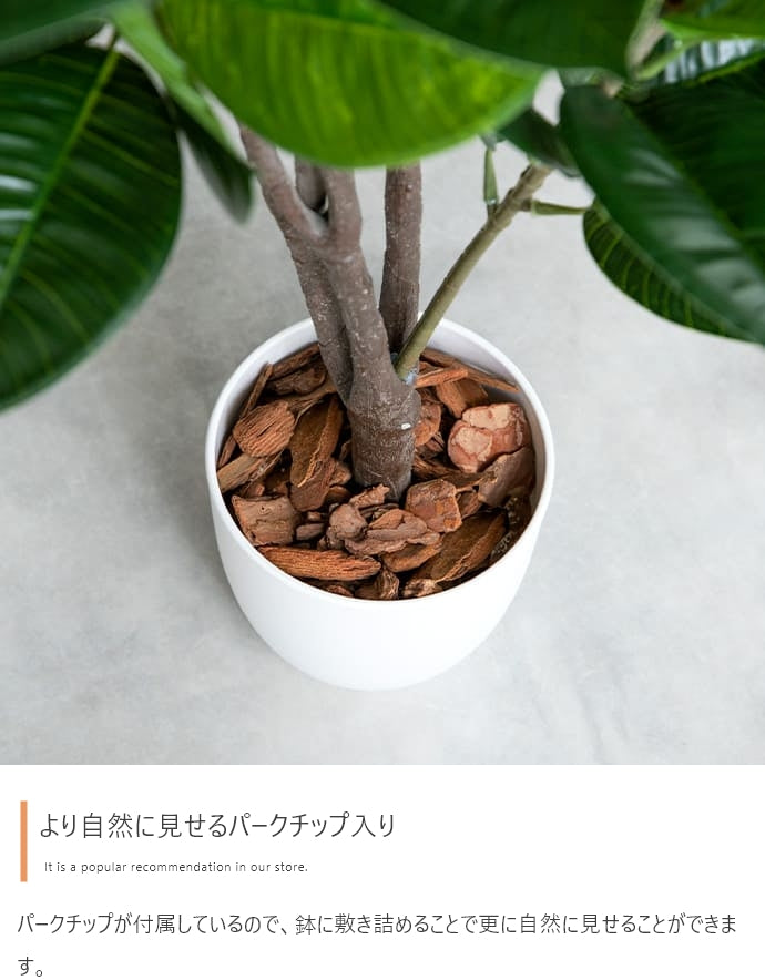 Nature 光触媒人工観葉植物 ゴムの木 高さ95cm