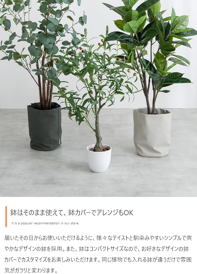 Nature 光触媒人工観葉植物 ゴムの木 高さ95cm