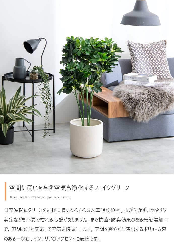 Nature 光触媒人工観葉植物 カポック 高さ90cm