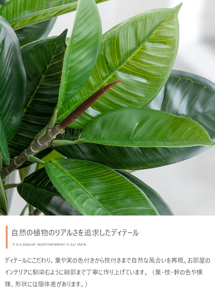 Nature 光触媒人工観葉植物 カポック 高さ90cm