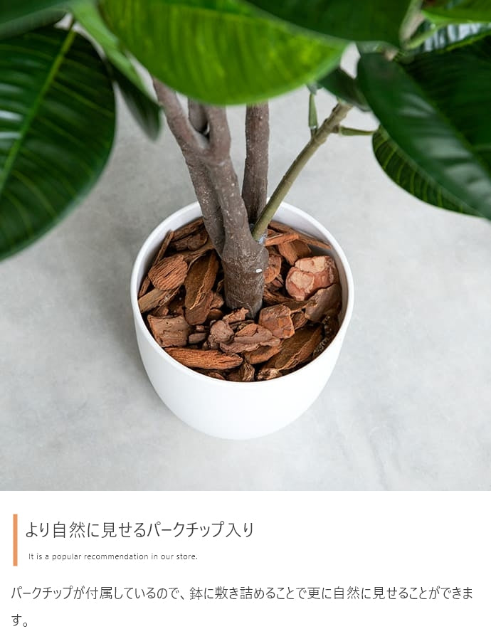Nature 光触媒人工観葉植物 カポック 高さ90cm