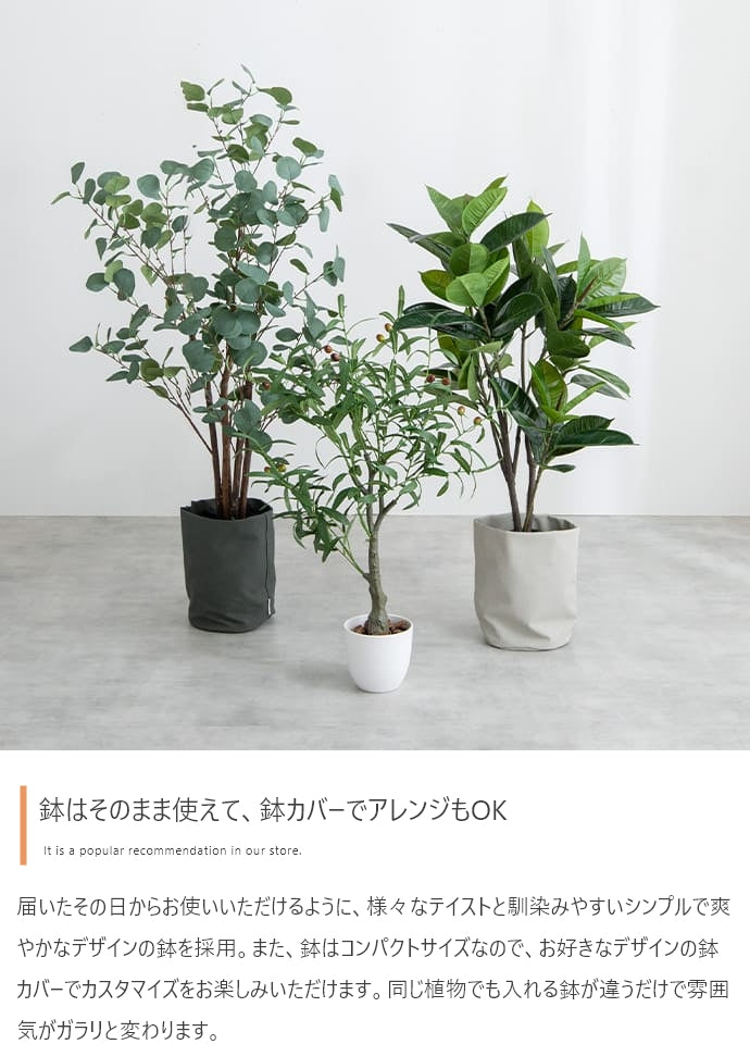 Nature 光触媒人工観葉植物 カポック 高さ90cm