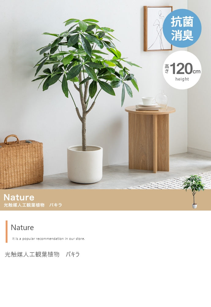 Nature 光触媒人工観葉植物 パキラ 高さ120cm