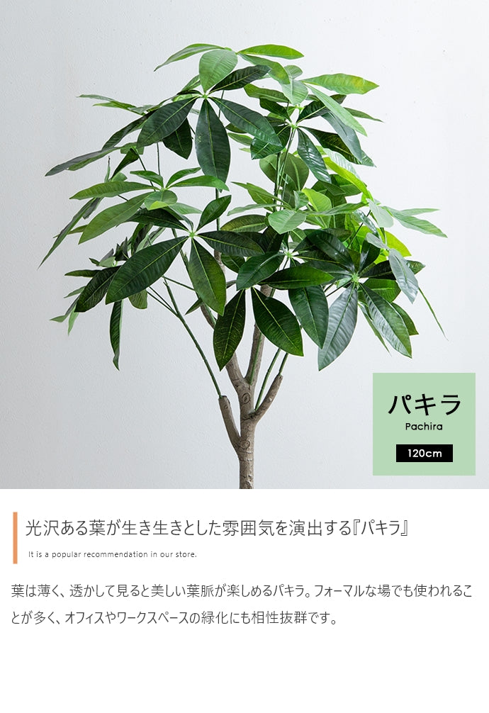 Nature 光触媒人工観葉植物 パキラ 高さ120cm