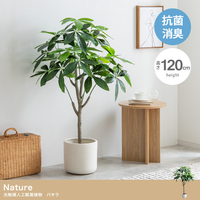 Nature 光触媒人工観葉植物 パキラ 高さ120cm