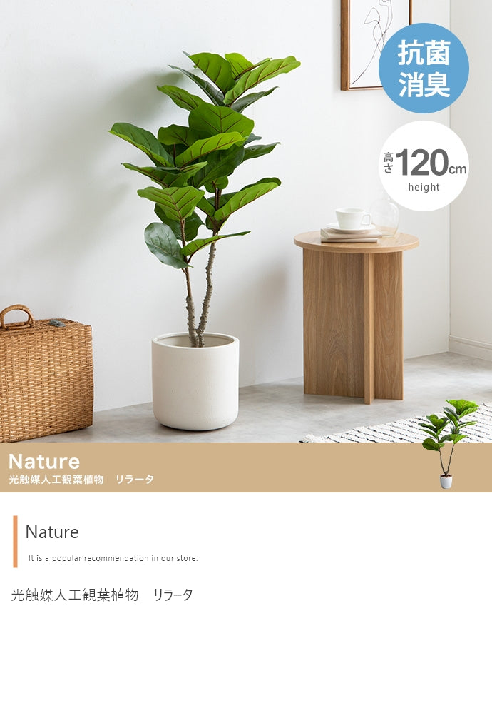 Nature 光触媒人工観葉植物 リラータ 高さ120cm