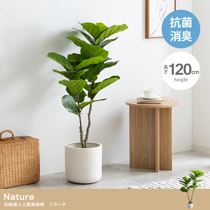 Nature 光触媒人工観葉植物 リラータ 高さ120cm