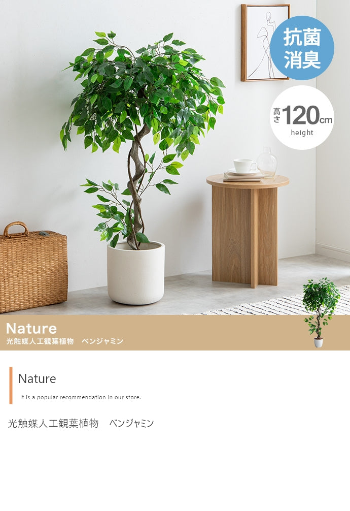 Nature 光触媒人工観葉植物 ベンジャミン 高さ120cm