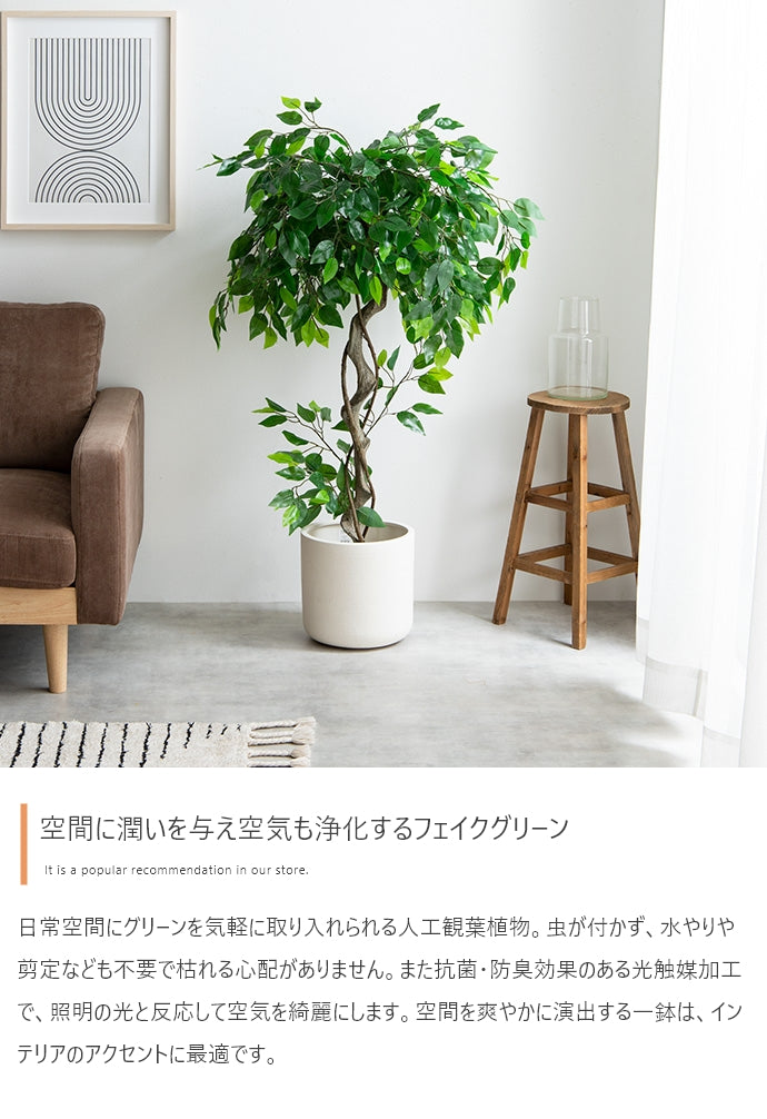 Nature 光触媒人工観葉植物 ベンジャミン 高さ120cm