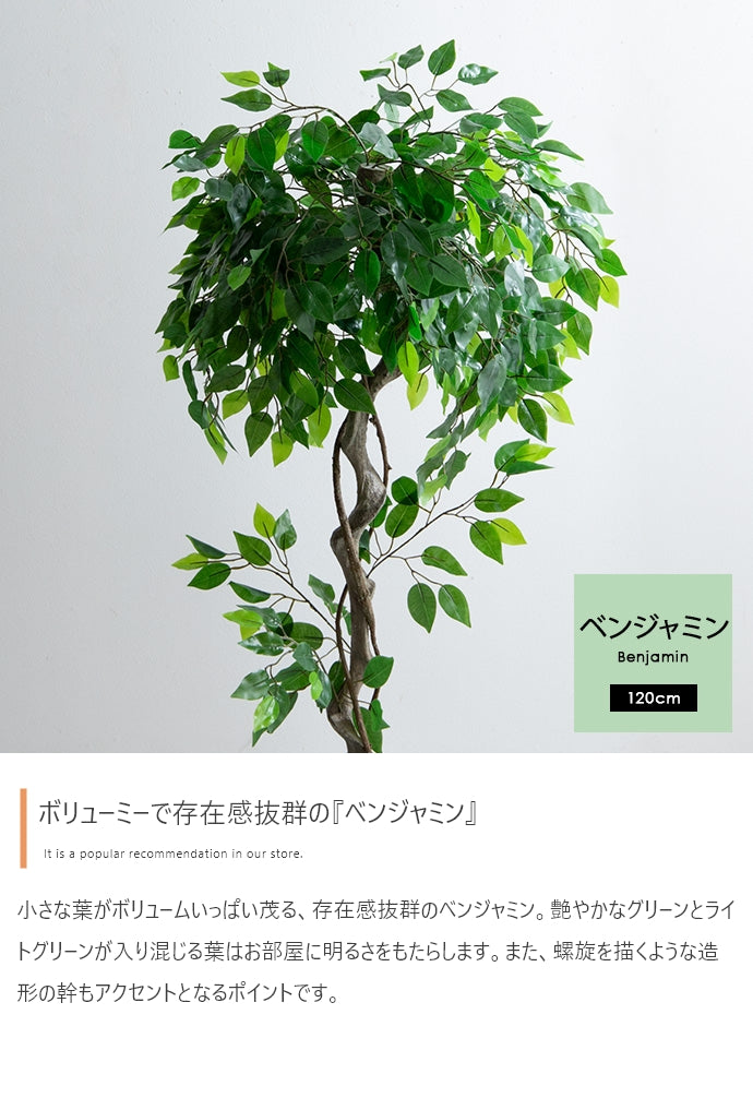 Nature 光触媒人工観葉植物 ベンジャミン 高さ120cm