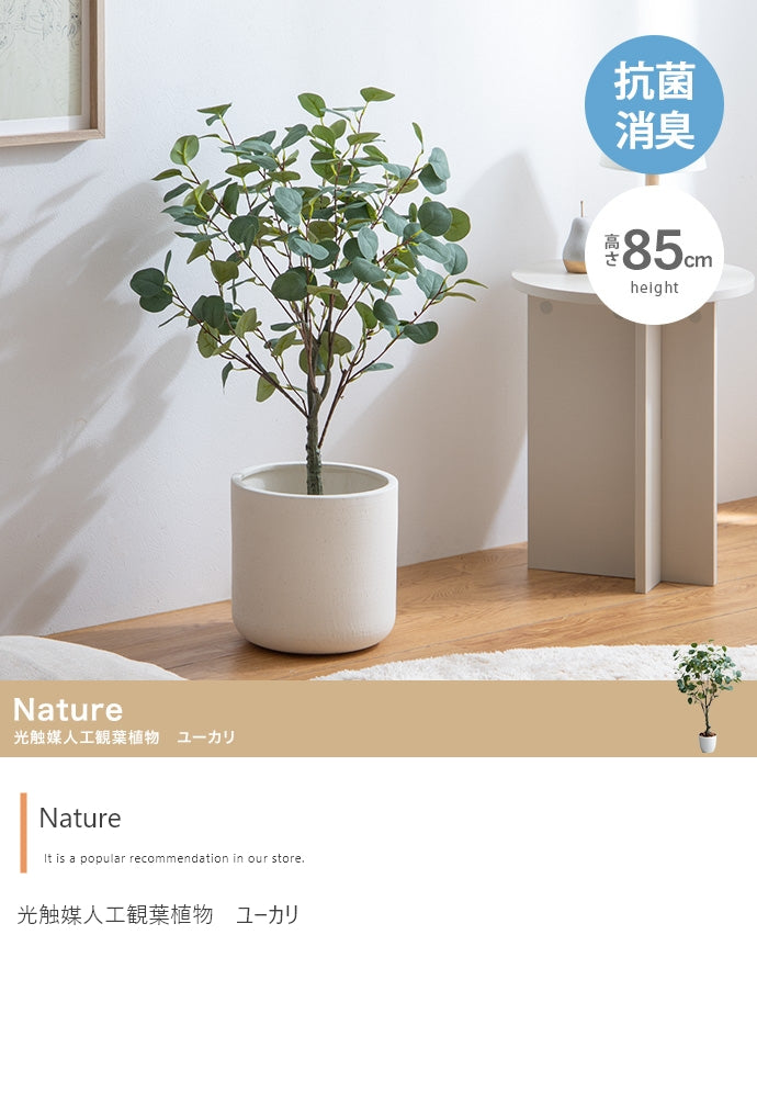 Nature 光触媒人工観葉植物 ユーカリ 高さ85cm