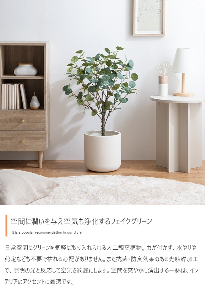 Nature 光触媒人工観葉植物 ユーカリ 高さ85cm