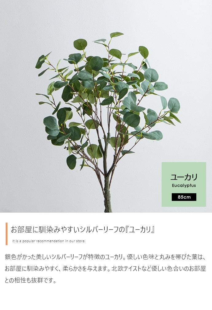 Nature 光触媒人工観葉植物 ユーカリ 高さ85cm