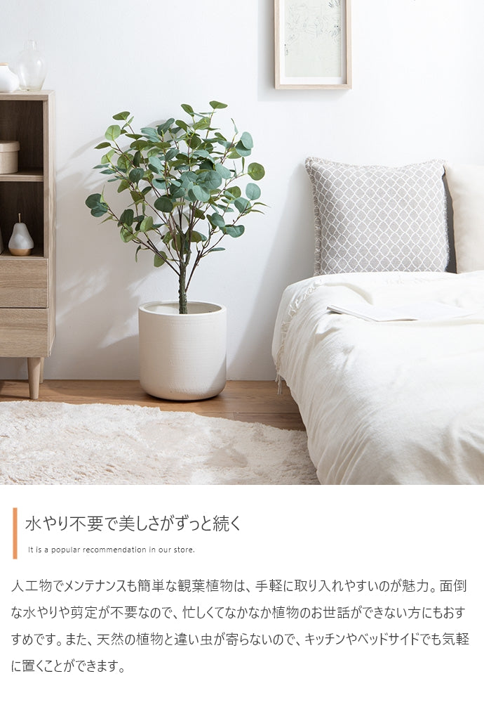 Nature 光触媒人工観葉植物 ユーカリ 高さ85cm
