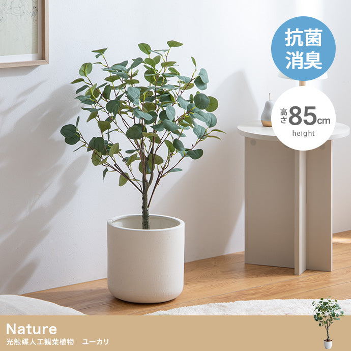 Nature 光触媒人工観葉植物 ユーカリ 高さ85cm