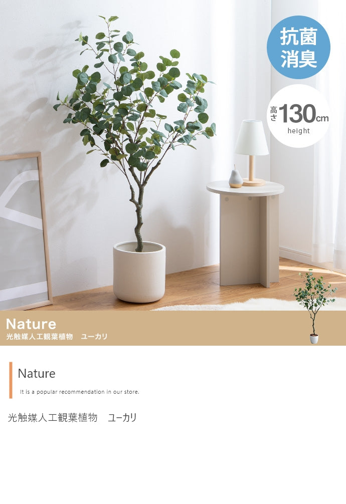 Nature 光触媒人工観葉植物 ユーカリ 高さ130cm