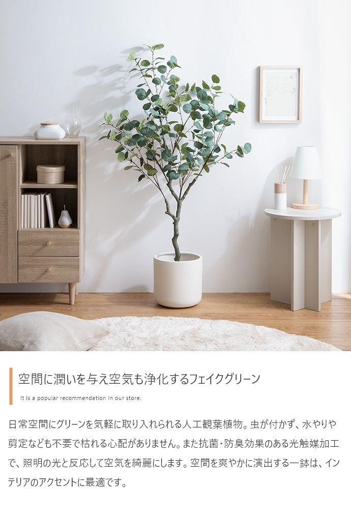 Nature 光触媒人工観葉植物 ユーカリ 高さ130cm