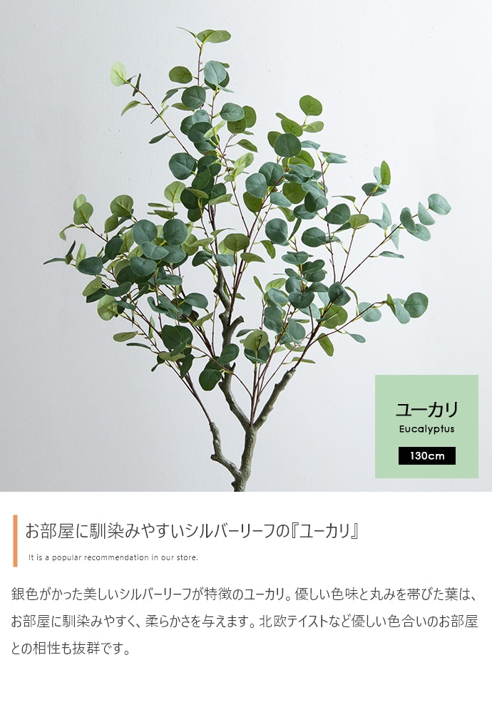 Nature 光触媒人工観葉植物 ユーカリ 高さ130cm