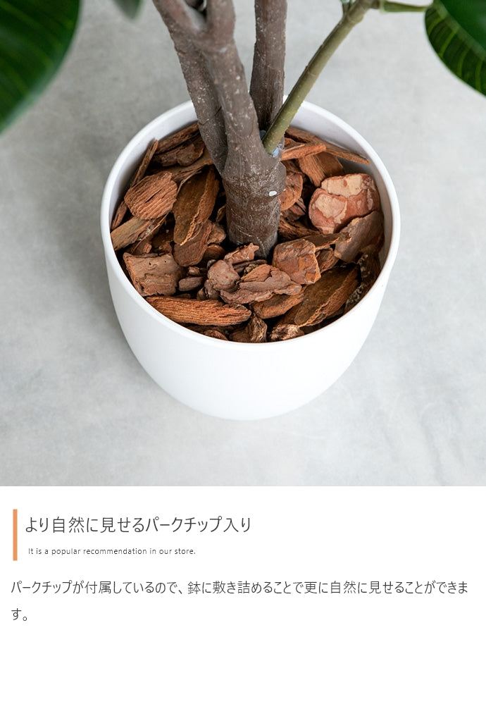 Nature 光触媒人工観葉植物 ユーカリ 高さ130cm