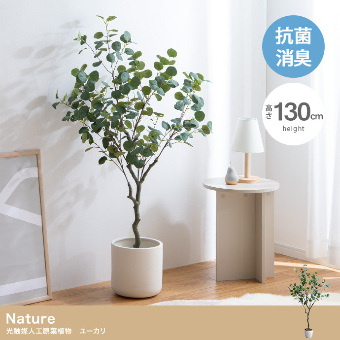 Nature 光触媒人工観葉植物 ユーカリ 高さ130cm