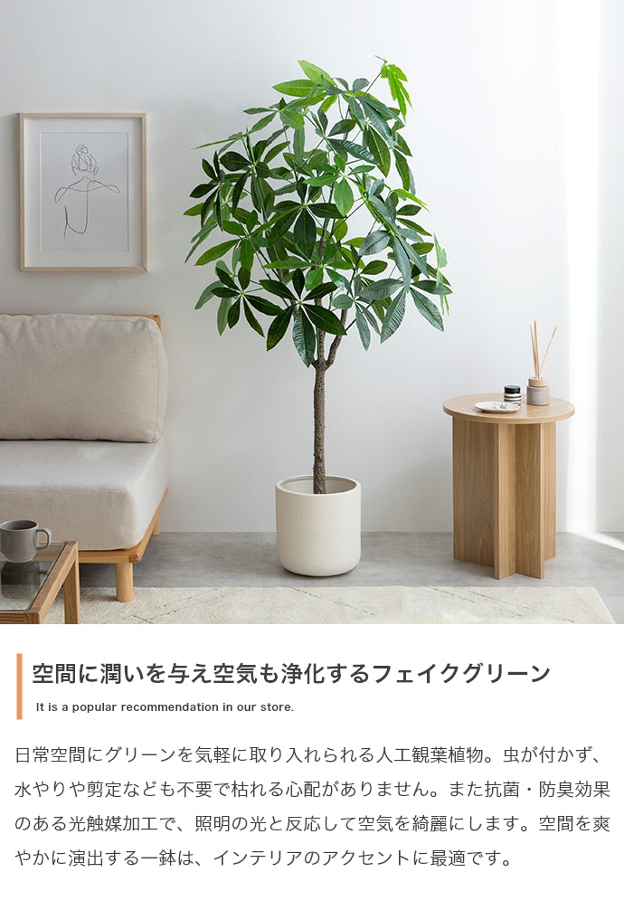 Nature 光触媒人工観葉植物 パキラ 高さ150cm