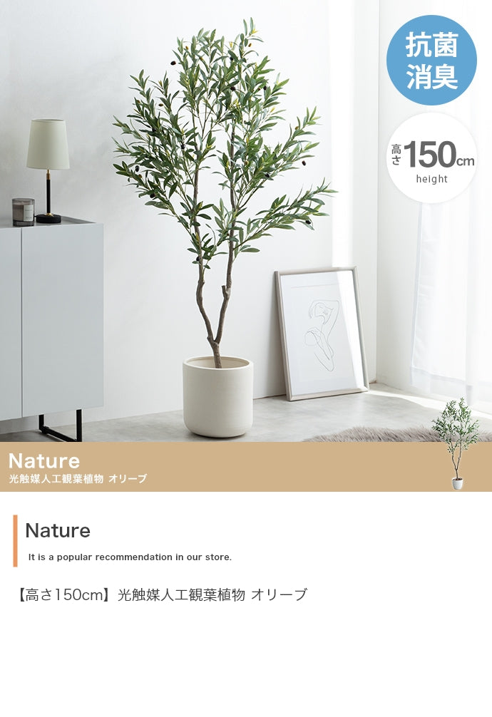 Nature 光触媒人工観葉植物 オリーブ 高さ150cm