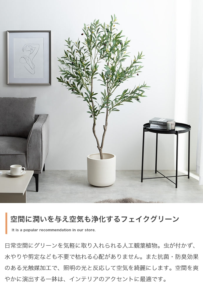 Nature 光触媒人工観葉植物 オリーブ 高さ150cm