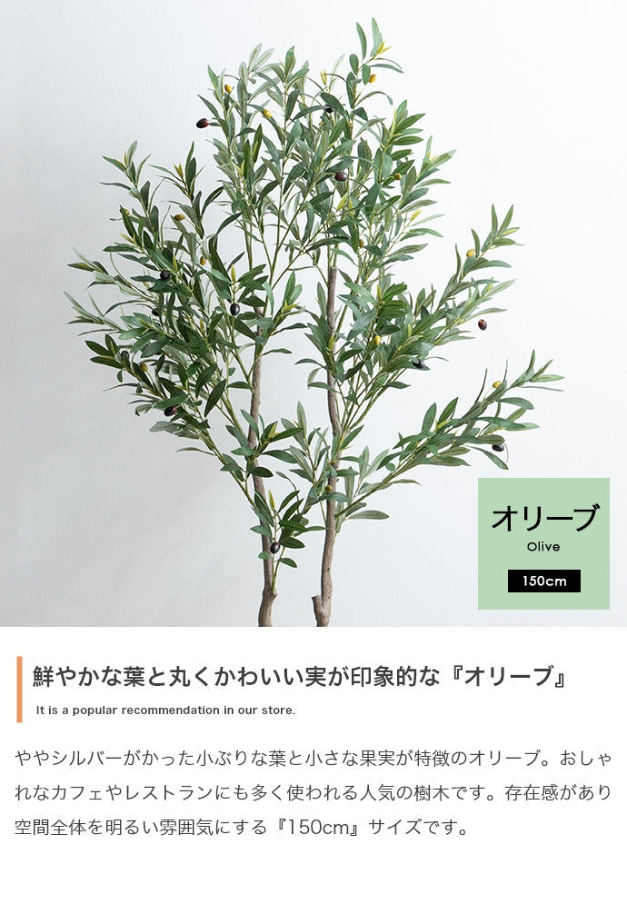 Nature 光触媒人工観葉植物 オリーブ 高さ150cm