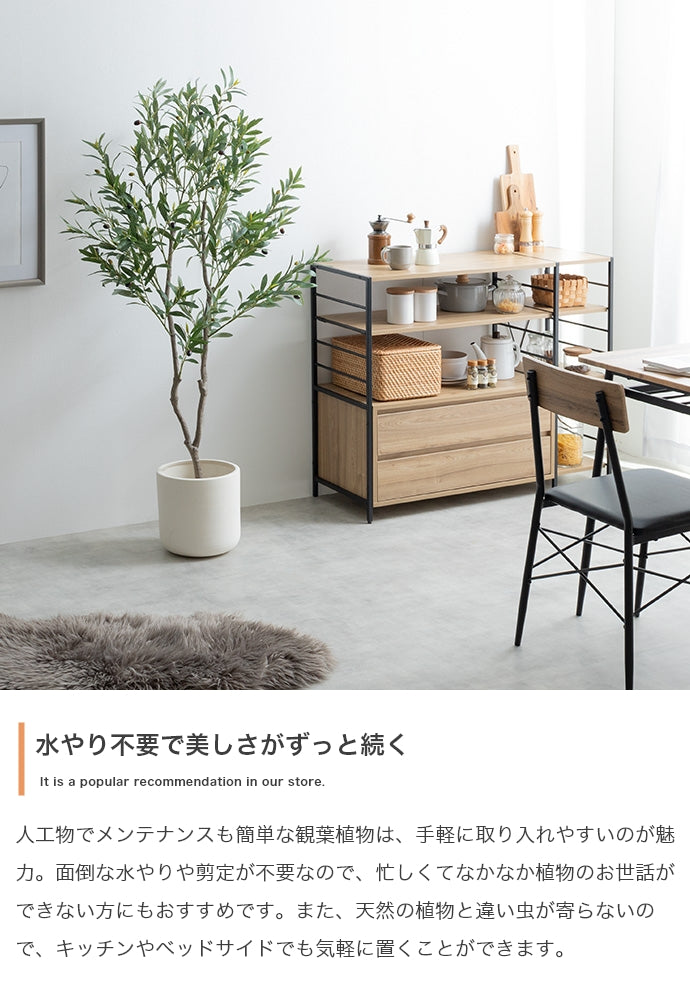 Nature 光触媒人工観葉植物 オリーブ 高さ150cm