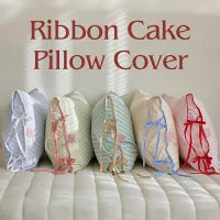 Ribbon cake pillowcase allergy care